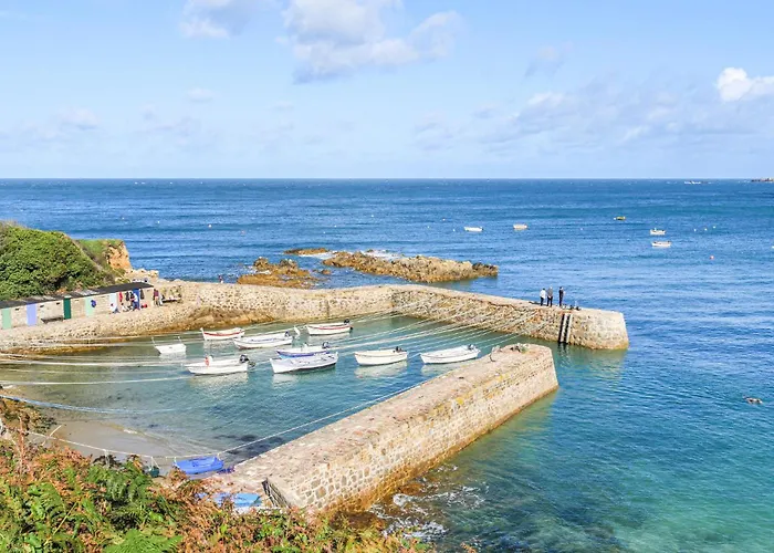 Pet Friendly In בית נופש